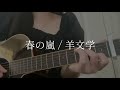 【弾き語り】春の嵐 / 羊文学 (cover)