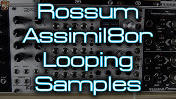 Rossum Electro-Music - Assimil8or *Yorkshire House Mafia Patch*