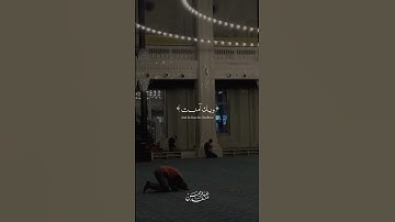 القارئ : عبدالرحمن مسعد    #عبدالرحمن_مسعد #دعاء  #اجر_لي_ولك #fypシ゚viral #fyp #foryou