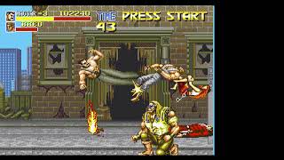 Sega CD actual Hardware datapath e1s 4k Test Guide