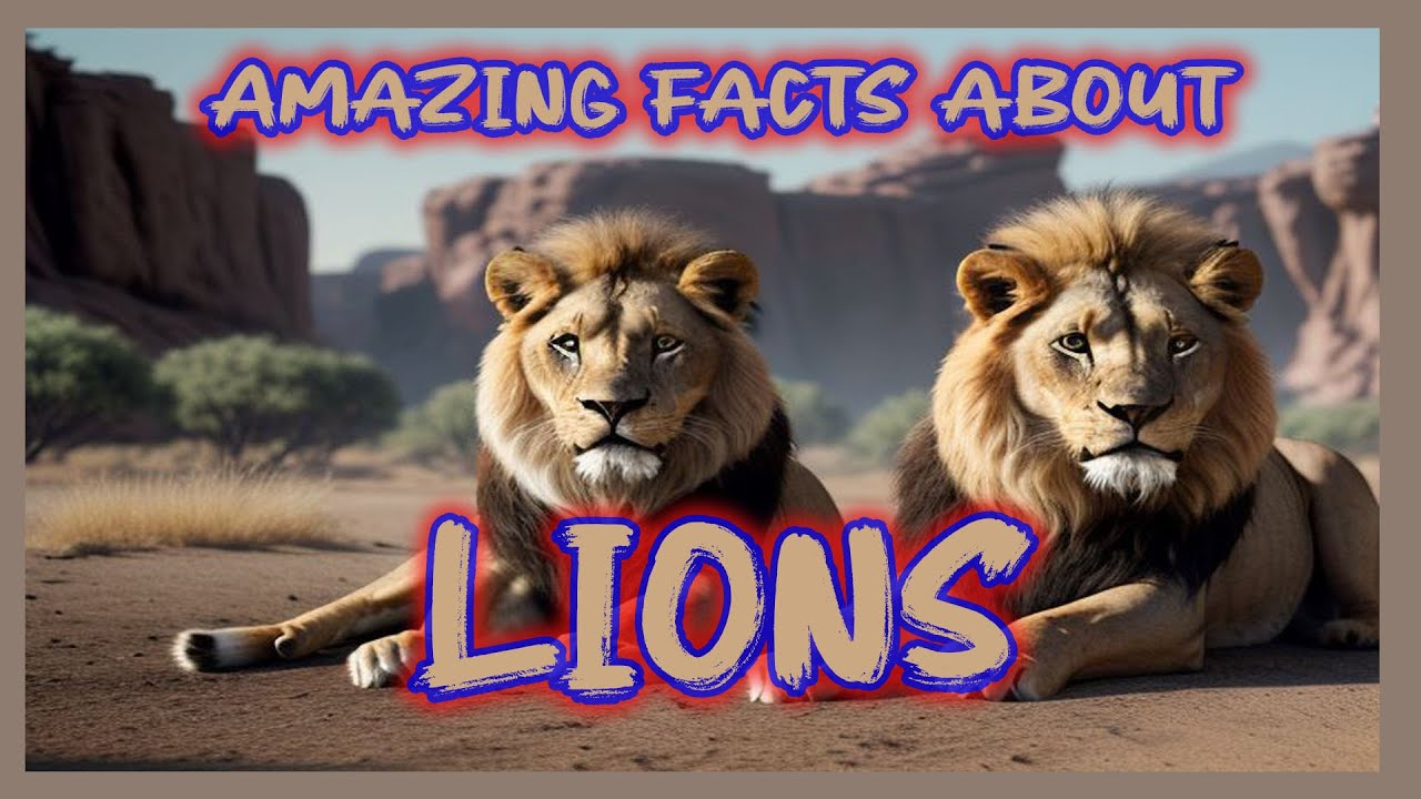 Amazing Facts about Lions 2023