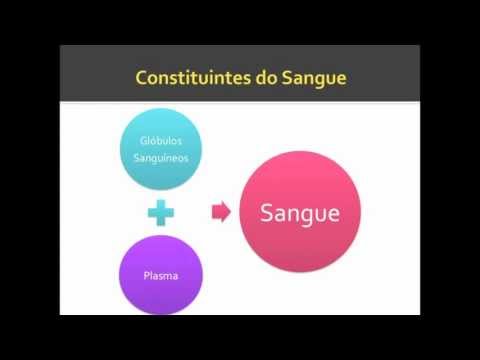 Histologia - Células do Sangue - YouTube Histologia - Células do Sangue - YouTube