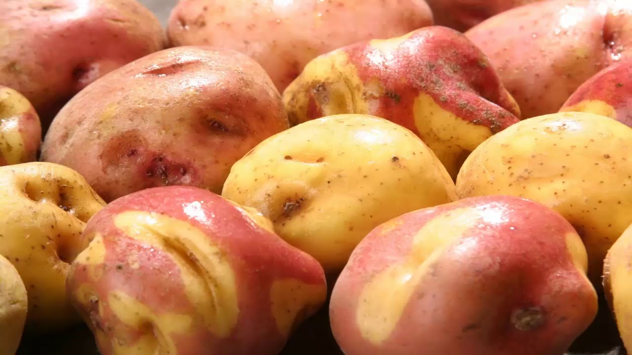 Aclara Tus Axilas Con Estos Remedios Hecho En Casa remedios naturales para la artritis