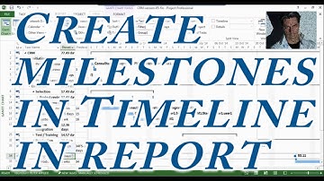 MS Project #5 : Learn To Create/Use Milestones, in Timeline, Reports ● Complete  ●  Creativity