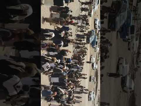 عرس جماعي في خولان الطيال مديرية الحصن آل الصوفي