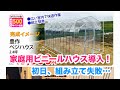 動画で家庭菜園『ビニールハウス チャレンジ1日目（豊作ベジハウス）導入！組み立て失敗(*´-`)』H30.11.4