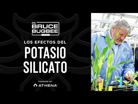 Bruce Bugbee Series (ES) – The Effects of Potassium Silicate