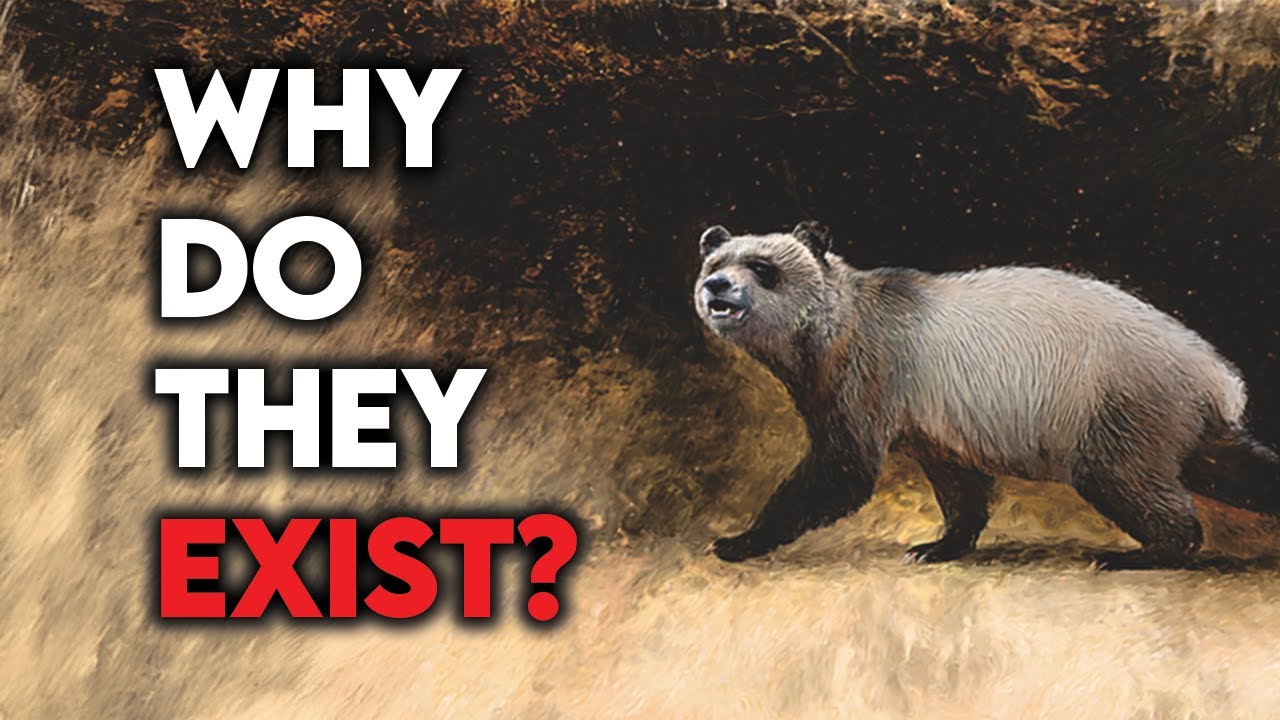 The Most Useless Animal On Earth - YouTube