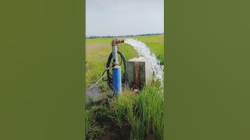WATER SYSTEM IN THE MIDDLE OF THE RICE FIELDS 🌾🏞️ #philippines #satisfyingvideo #viralshorts #shorts