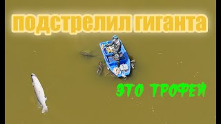 видео: Такого у меня еще не было (рыбалка с рогаткой) картинка: Такого у меня еще не было (рыбалка с рогаткой)