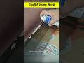 Restore &amp; Refresh Your Furnitures Instantly - Furniture Spray Paint - புதுமையான வீட்டுப் பொருட்கள்