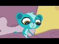 Littlest Pet Shop Season 2 Episode 1 Arabic 