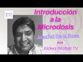 Introducción a la Microdosis, Josafat De la Rosa