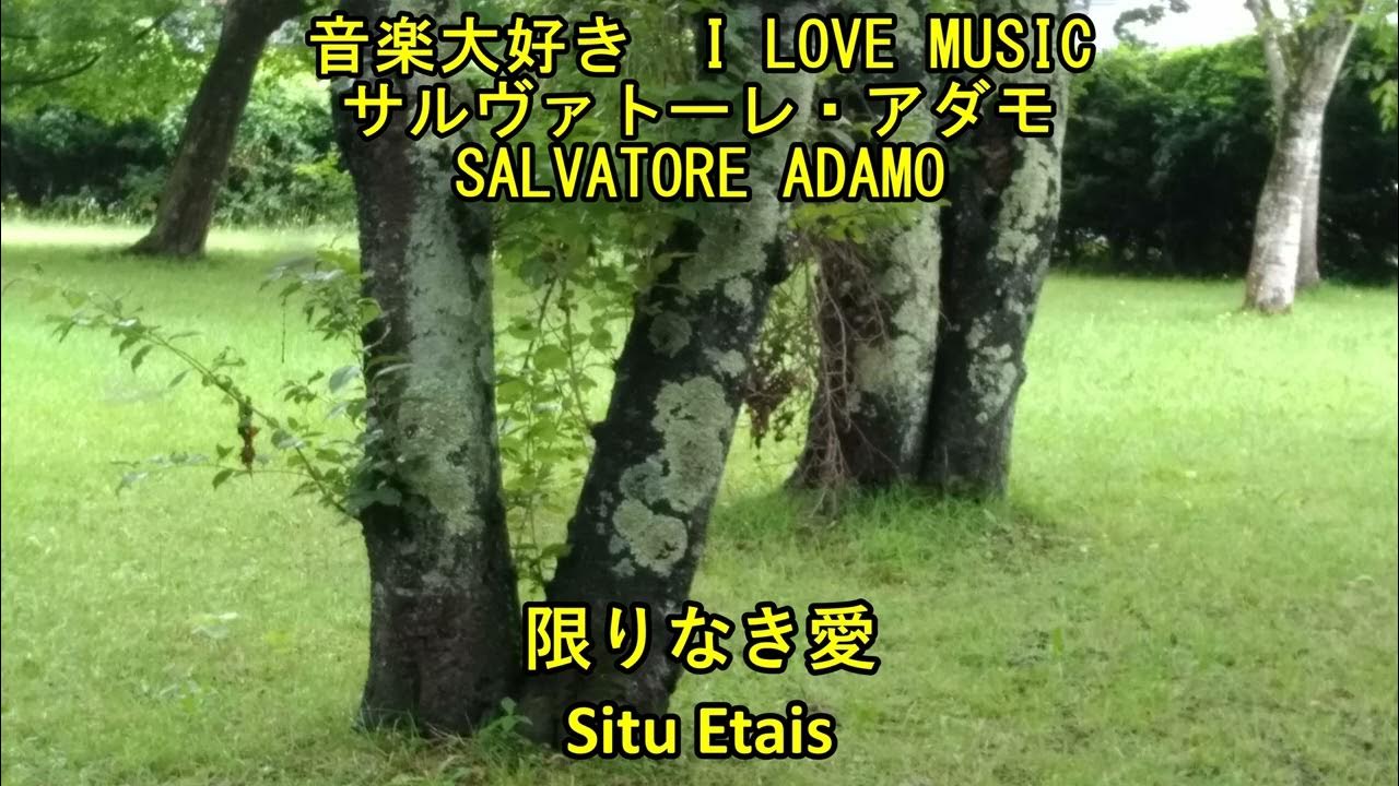 音楽大好き サルヴァトーレ アダモ 限りなき愛 I Love Music Salvatore Adamo Situ Etais Youtube