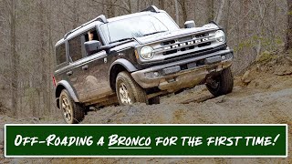 Off-Roading a Stock Ford Bronco For the First Time!