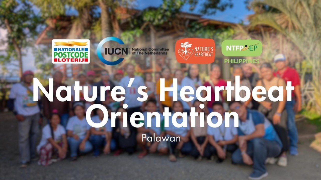 Nature's Heartbeat Orientation in Palawan (2025)