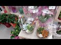 🌺🌹🍄🌷💐🌸🍂🐾🍃🌼🍀|hicham food and vlogs