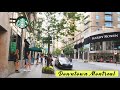 Walk Tour in Downtown Montreal on Peel Street and Blvd De Maisonneuve West #montrealtour #montreal