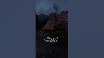 ياسر الدوسري سورة الروم.🤍🤍