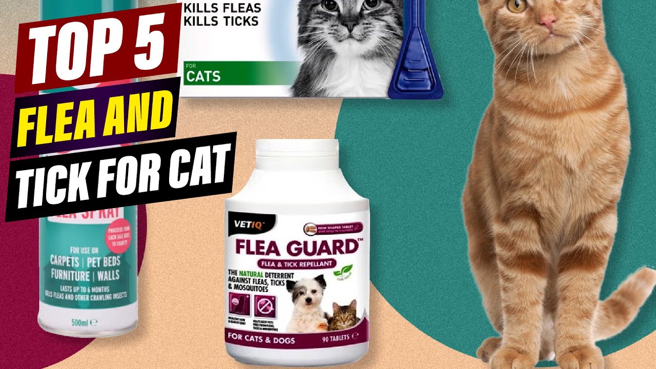 Picture of Best Flea and Tick Medication for Cats: Powerful Protection - YouTube