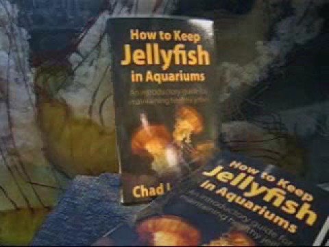 How to Keep Jellyfish in Aquariums by Chad L. Widmer