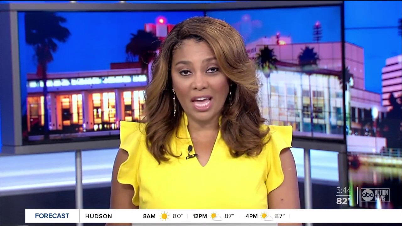 MS2 on ABC News 11 Tampa, July 2020