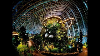 Singapore Gardens by the Bay: Eco Haven