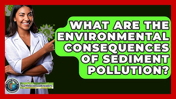 What Are The Environmental Consequences Of Sediment Pollution? - Earth Science Answers