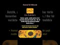 Allah'ın Bir İsmi ve Manası - Es-Subhân #islam #esma #zikir #dua