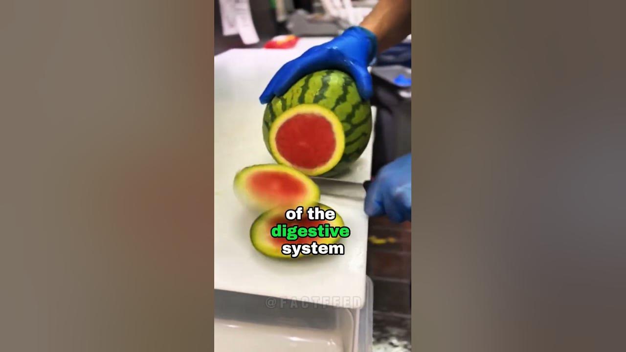 what-happens-to-your-body-if-you-eat-watermelon-everyday-youtube
