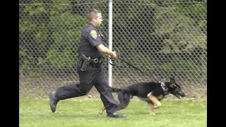 Beyond The Badge - July 2017 - New K 9 Officers Mike and Ike