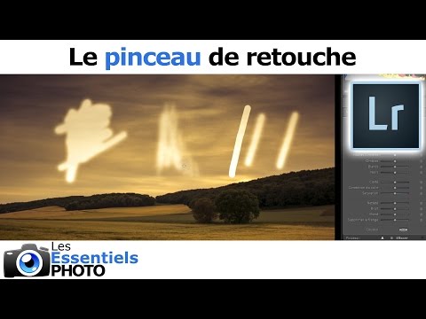 Vidéo: Comment ajouter des pinceaux à Lightroom ?