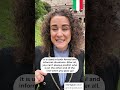 How to Answer the Phone LIKE AN Italian ☎️📞 #learnitalian #italianforbeginners