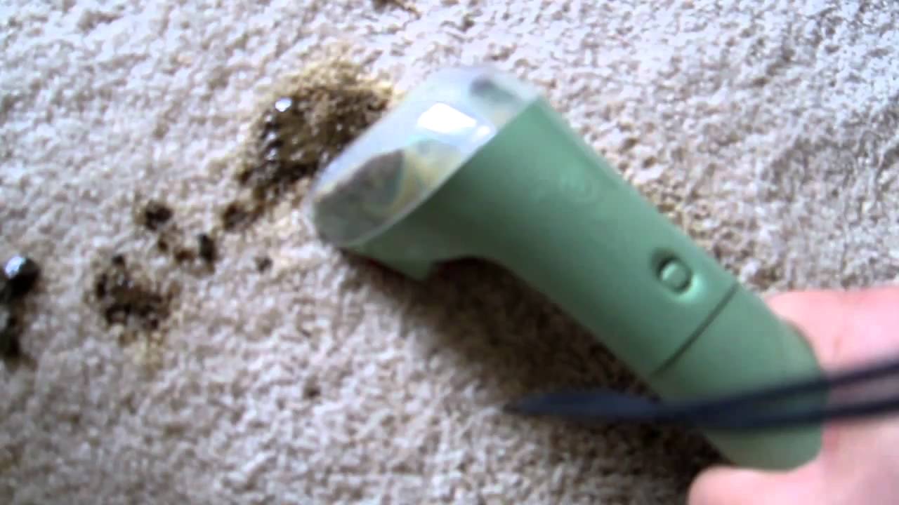 Bissell Little Green Machine Carpet Cleaner REVIEW 
