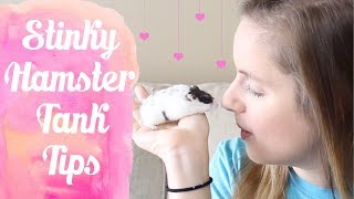 How To Keep A Hamster Tank Odor Free | Odor Free Hamsters, Mice & Gerbils