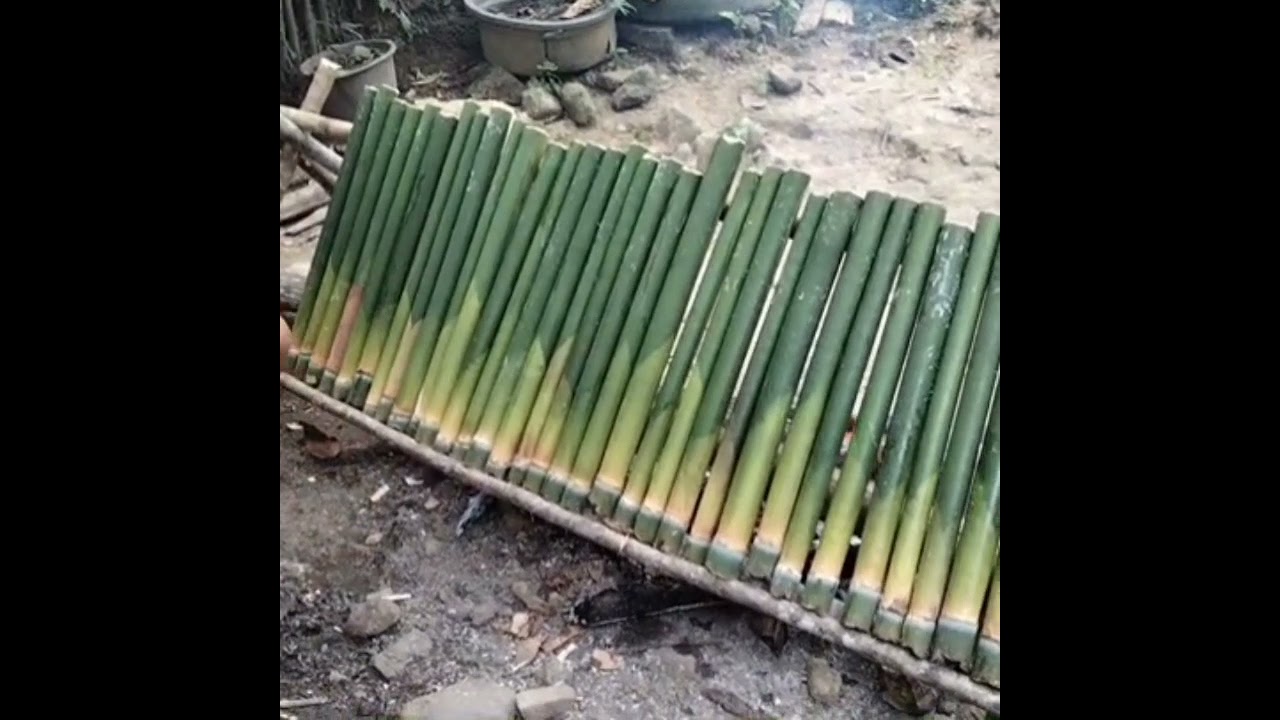 makanan khas Orang Dayak 