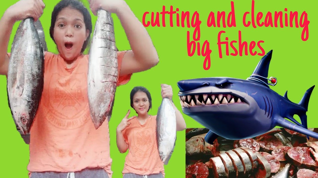 HOW TO CLEAN BIG FISHES...smell fishy YouTube