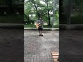 「めざせポケモンマスター」をASIAN KUNG-FU GENERATIONさんっぽく歌ってみました