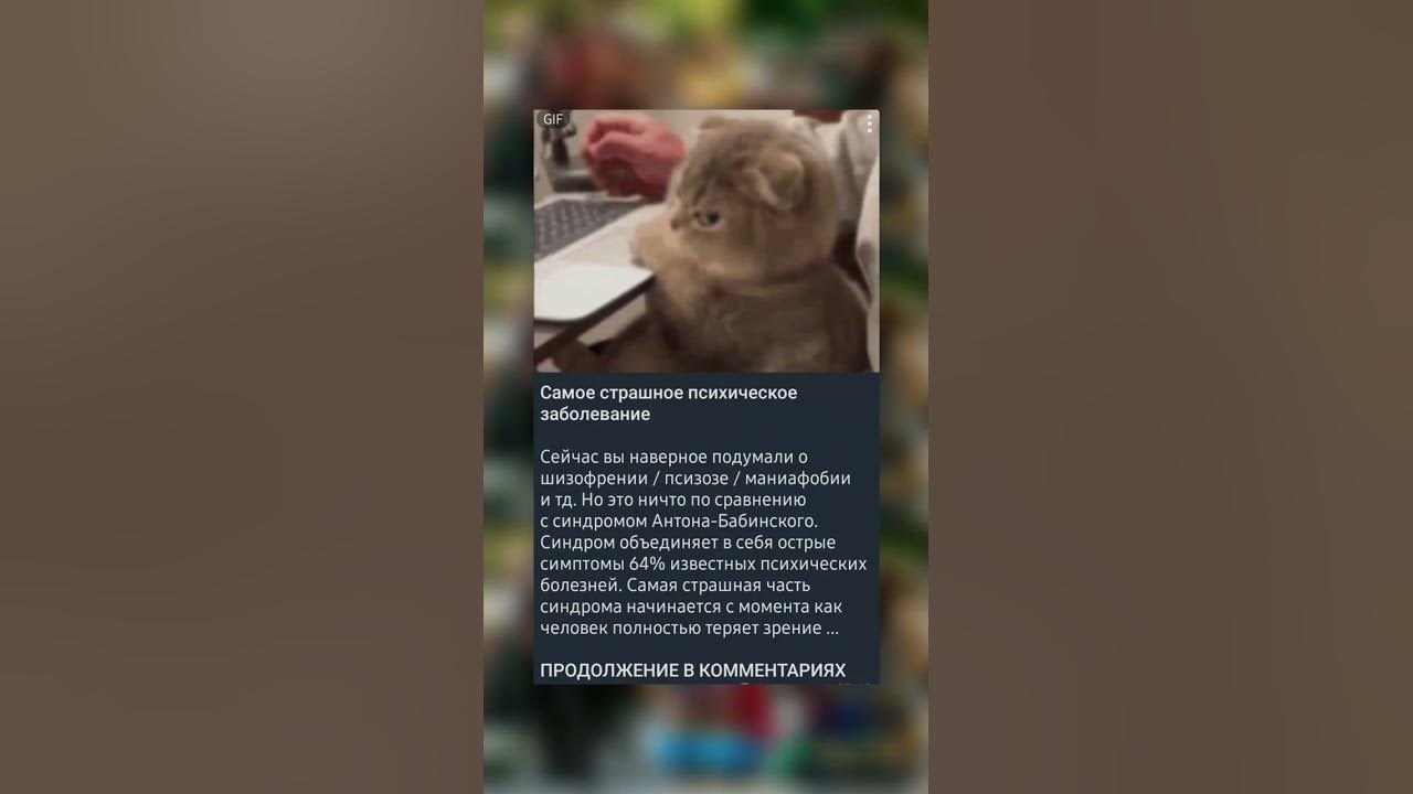 Салтычиха: какое психическое заболевание было у «кровавой помещицы»