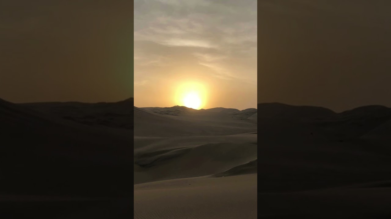 Ein Mensch verloren in der Wüste? 