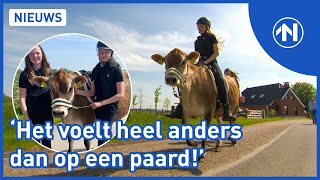 Lieke heeft geen paard, dus rijdt ze op een koe