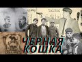 МИФ или ПРАВДА ?Банда Черная Кошка