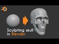 Skull Sculpting in Blender