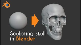 Skull Sculpting in Blender