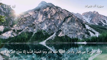 قرآن كريم بصوت القارئ: ياسر الدوسري || أجمل حالات واتس اب دينيه || تلاوة خاشعة 🌿
