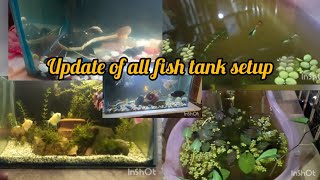 update video of all' fish tank setup l Dhruv vlog 24 l complete 500 suscriber of our YouTube family