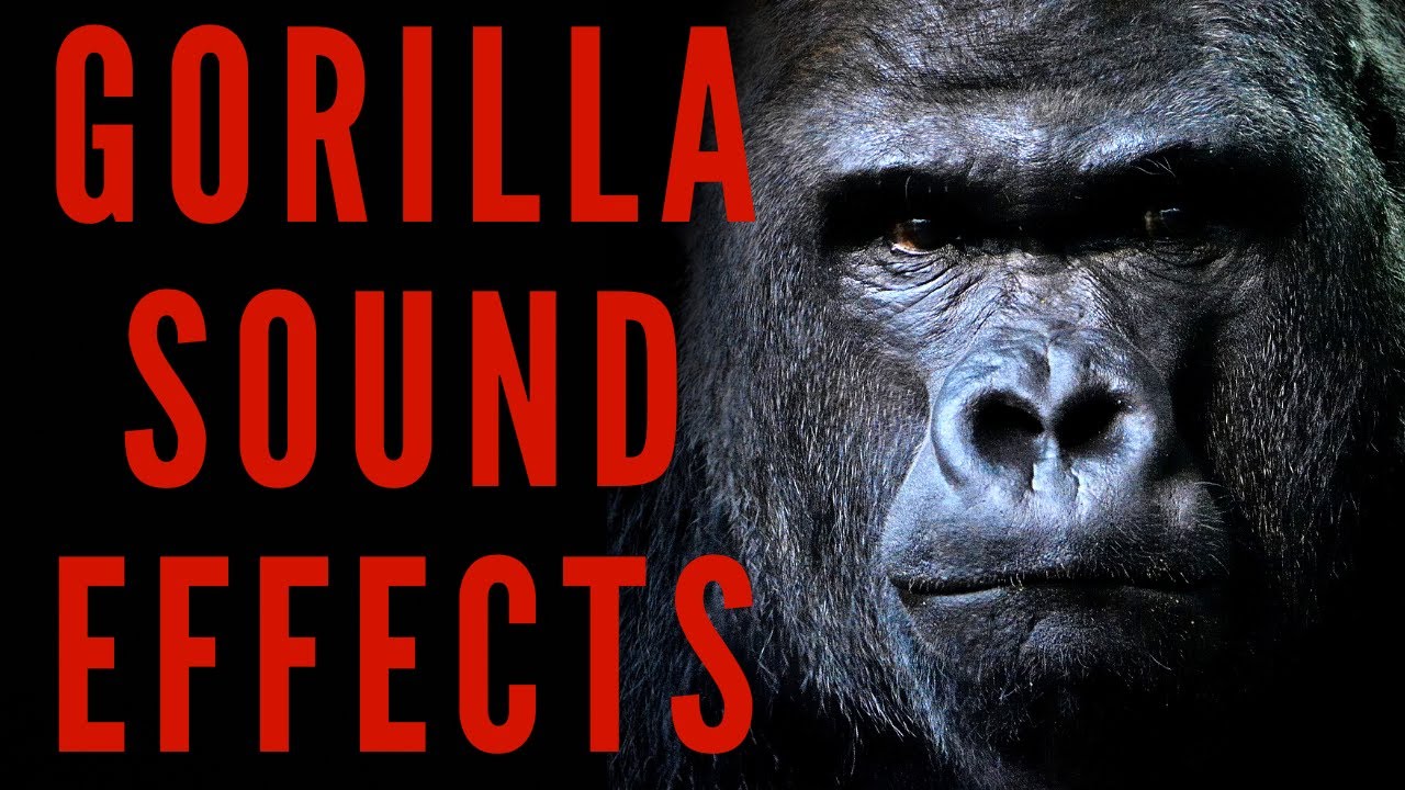 scary sound for gorilla tag by sleeplife4ever Sound Effect - Tuna