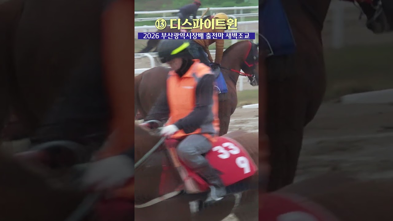 제2의 본다이아는 나올 것인가 -디스파이트윈 편-