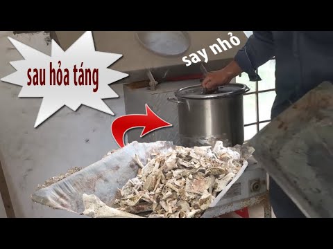 Video Sự Thật Qúa Trình Hỏa Táng |Giống Như Của Ca Sĩ Phi... - youtube