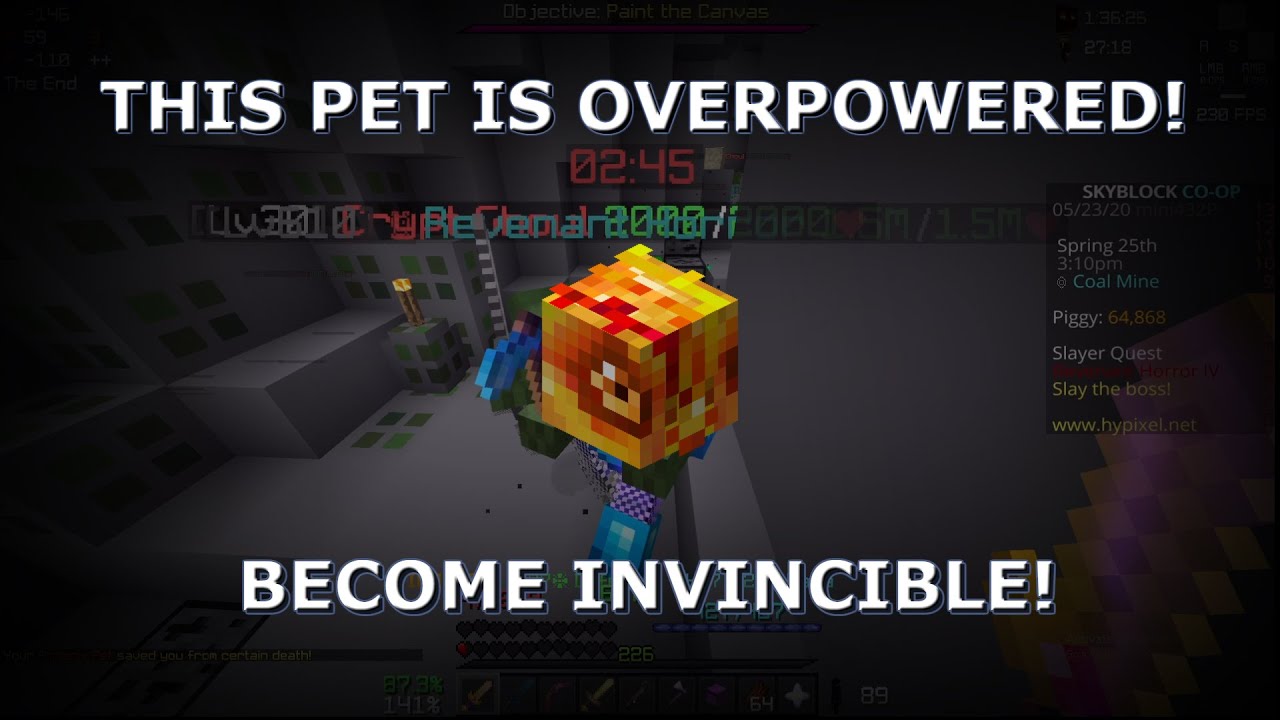 The *BEST* Pet for DUNGEONS! - Hypixel Skyblock - YouTube